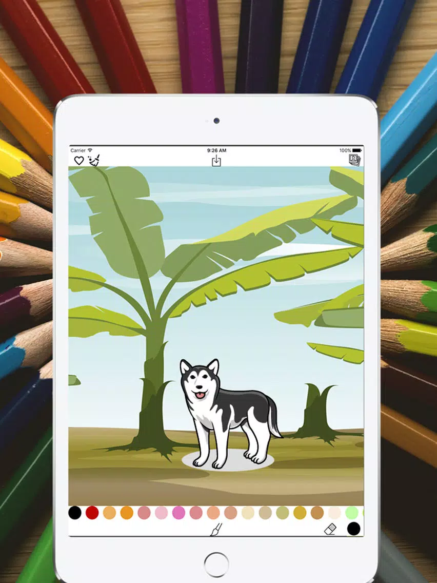 Drawing Desk - Draw, Paint, Doodle, Sketch iPad Screenshots