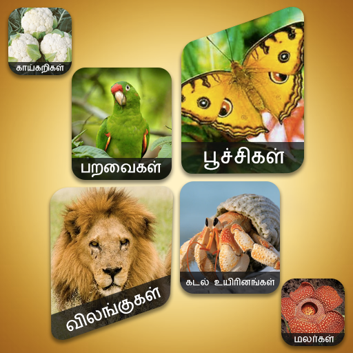 Theriyuma learn GK in Tamil Theriyuma learn GK in Tamil