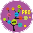 Learn Web Development Pro