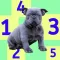 Feed the Dog - Learn Numbers