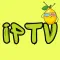 IPTV Smarters Pro: Xtream IPTV