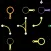 Worm Rip