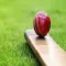 T20 Blast 2018 Cricket Betting