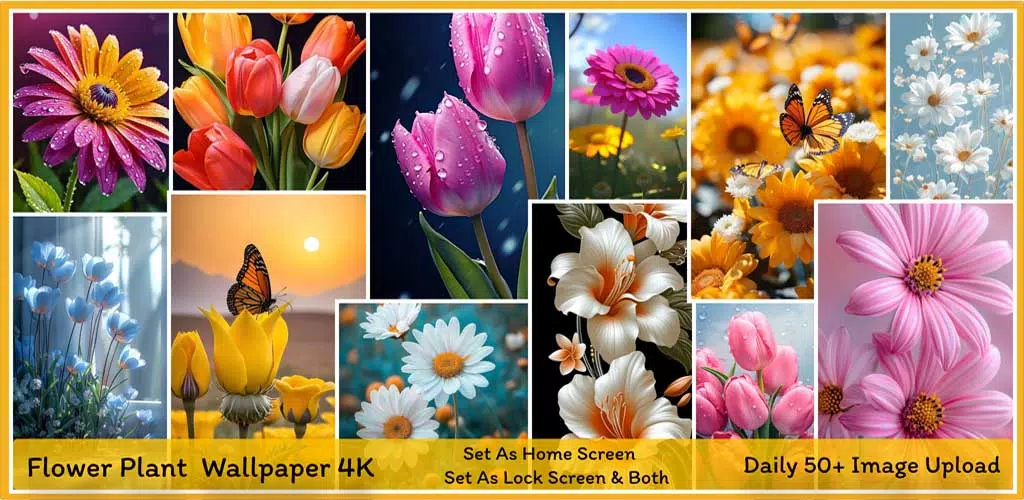 Flower HD Photo Wallpaper應用截圖