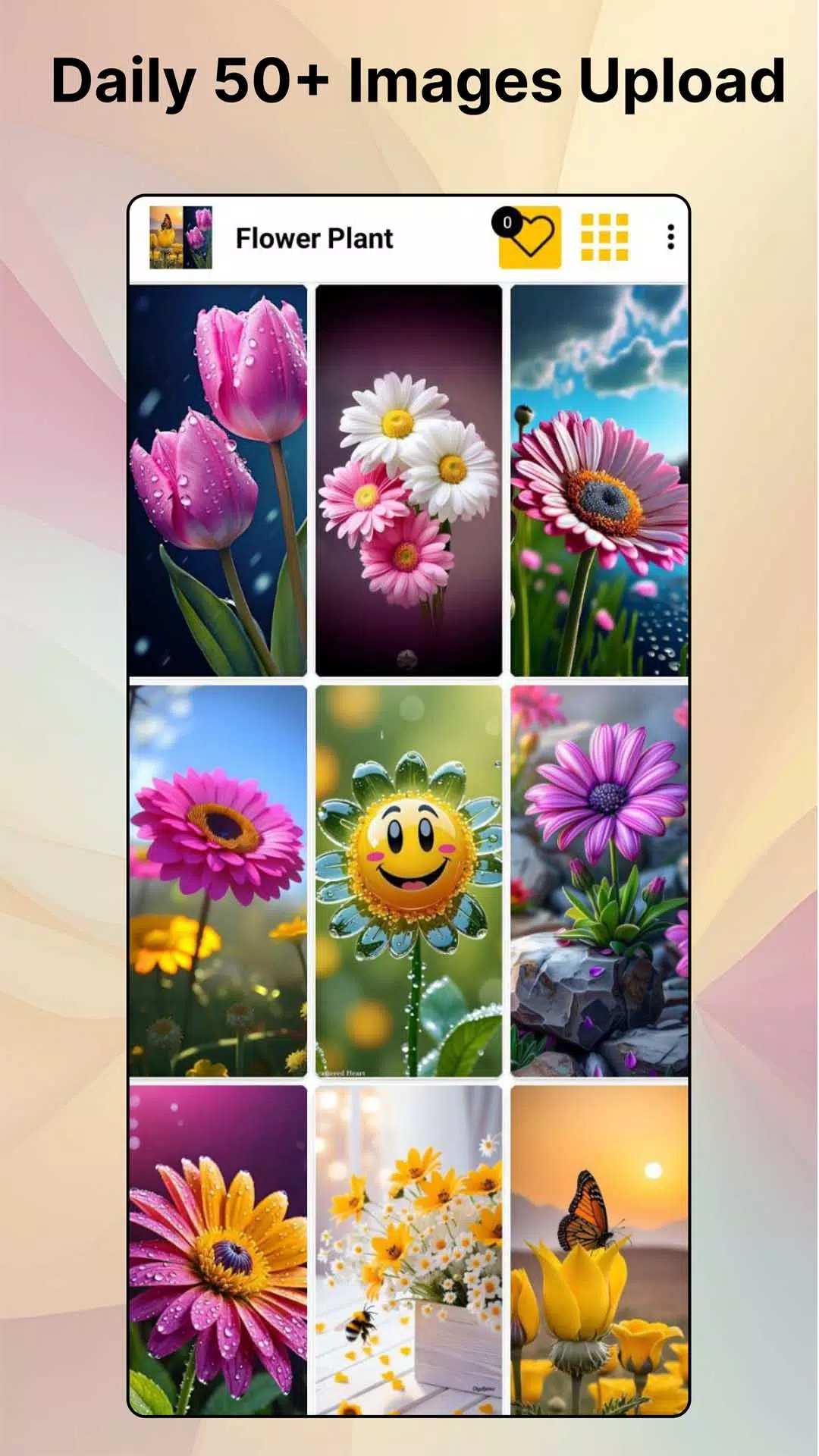 Flower HD Photo Wallpaper應用截圖