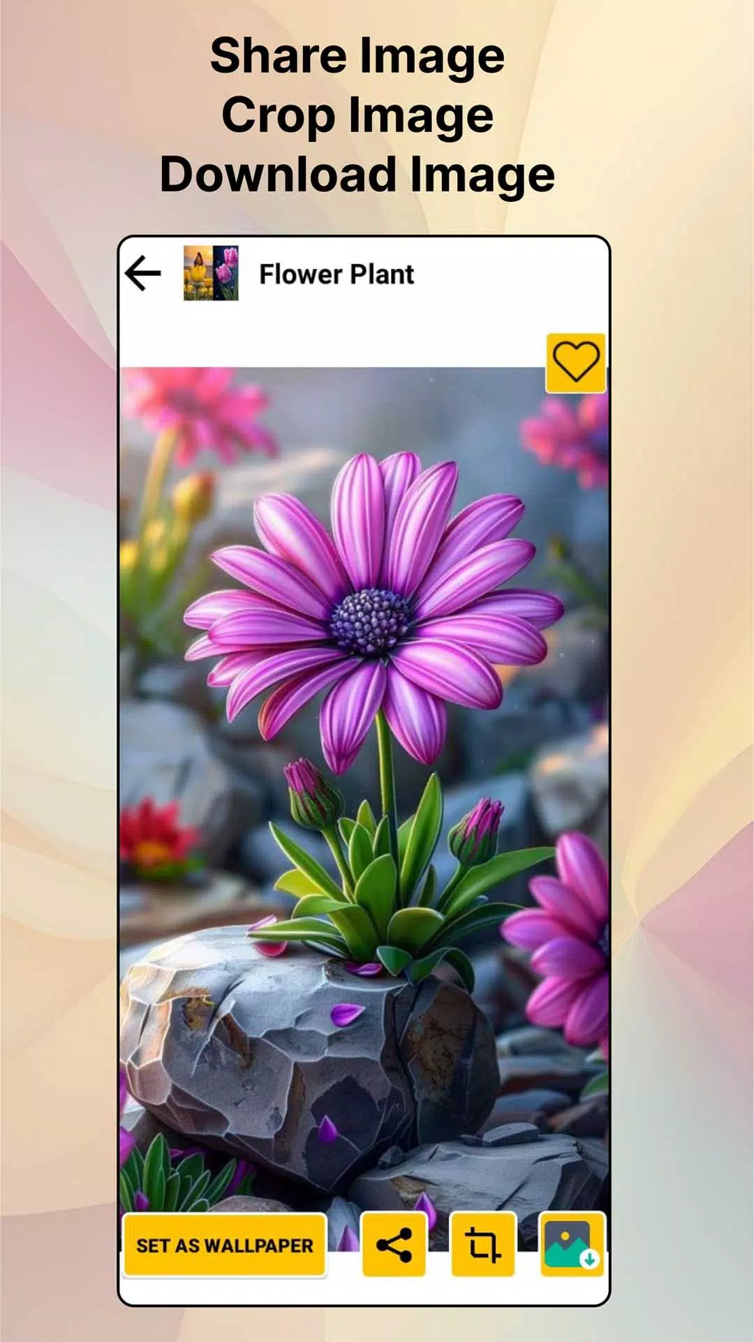 Flower HD Photo Wallpaper應用截圖