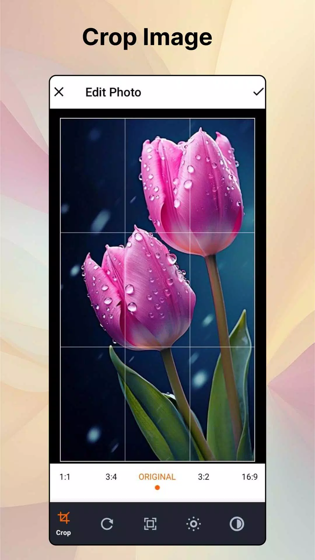 Flower HD Photo Wallpaper應用截圖