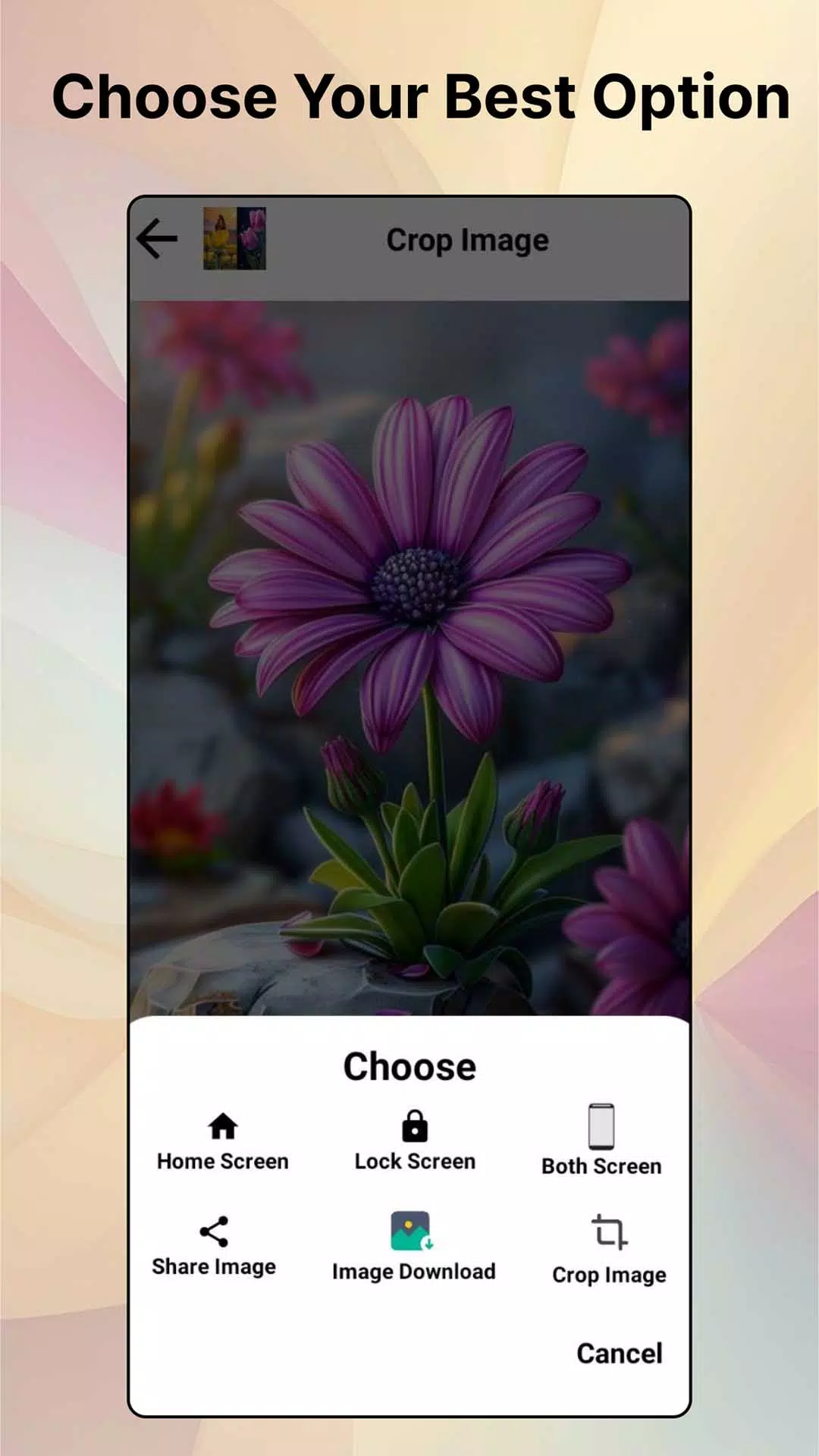 Flower HD Photo Wallpaper應用截圖