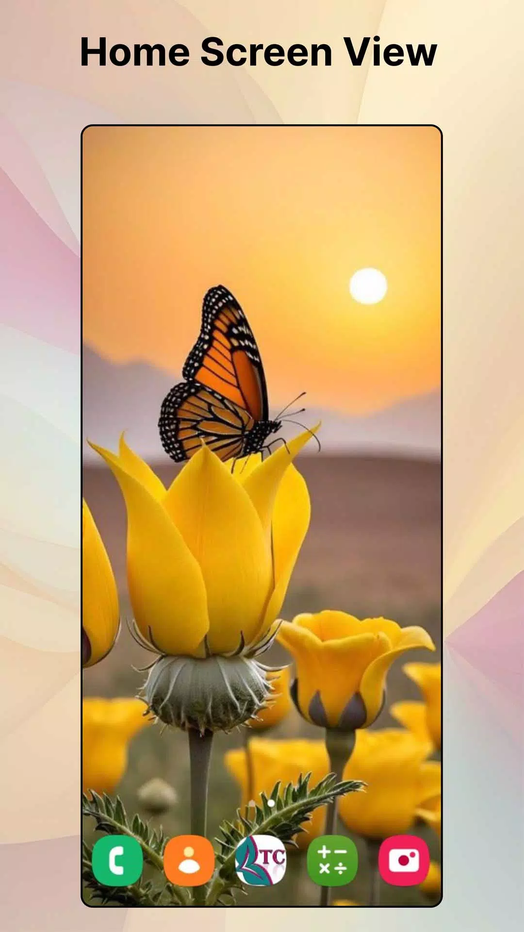 Flower HD Photo Wallpaper應用截圖