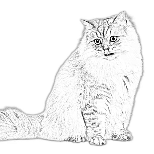 Easy Line art Easy Line art