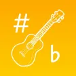 Ukulele Tuner For Dummies