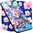 HD Live Wallpaper for OPPO