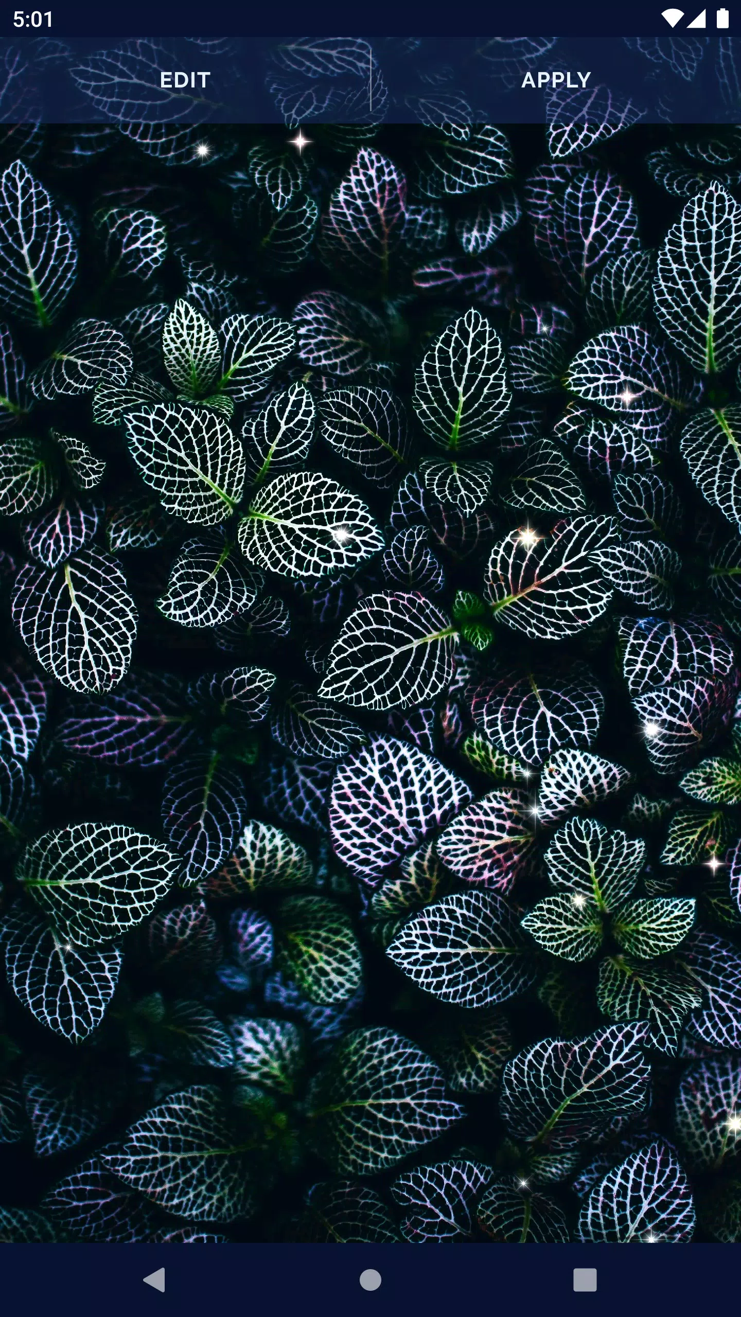 HD Live Wallpaper for OPPO Screenshots