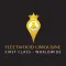 Fleetwood Limousine