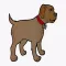 LocalPetFindr