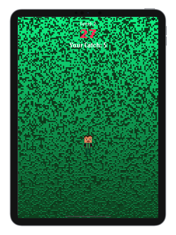 Catch Miney iPad 应用截图
