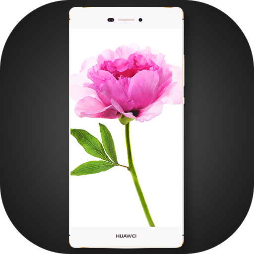 Theme for Xiaomi Mi Max