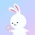 Bunny Search