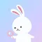 Bunny Search