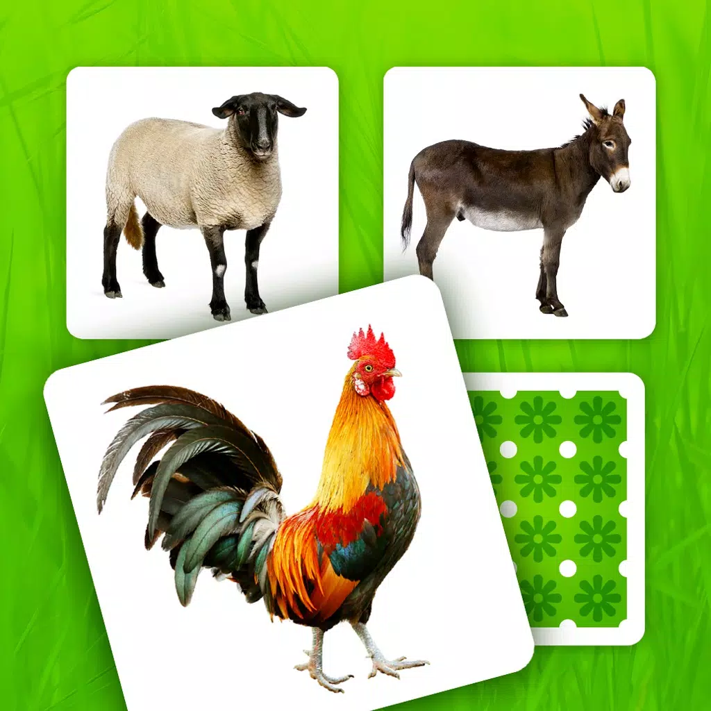 Farm Pairs - Match Animals Farm Pairs - Match Animals