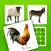 Farm Pairs - Match Animals
