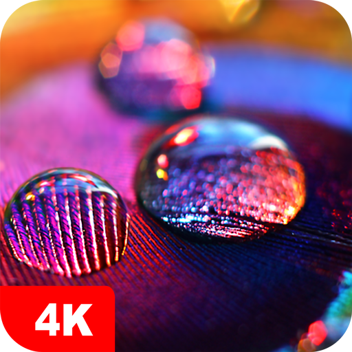 Macro Wallpapers 4K Macro Wallpapers 4K