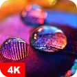 Macro Wallpapers 4K