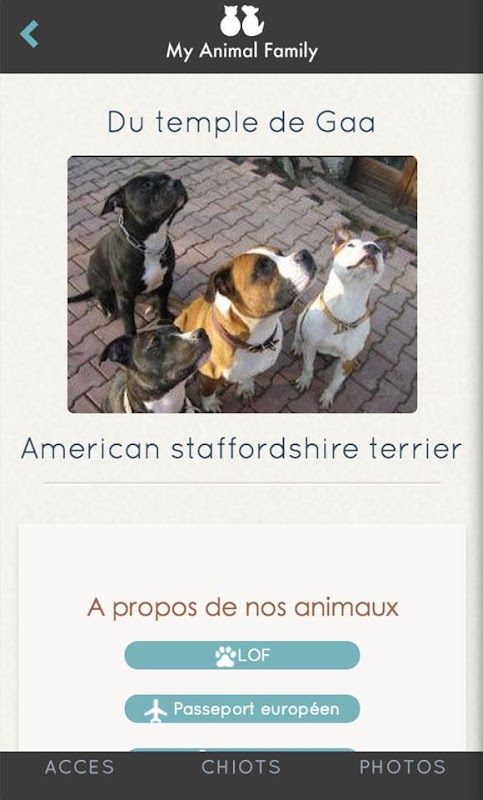 My Animal Family Screenshots