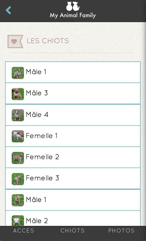 My Animal Family Screenshots