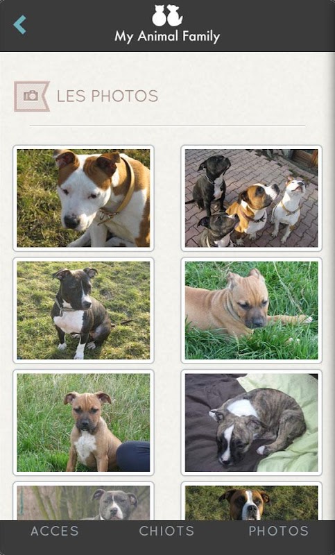 My Animal Family Screenshots