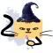 ƿiċċa : little magic meow