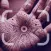 Palmistry Decoder,Hand Scanner