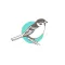 Sparrow Coffee Co.