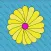 Sophie's Flower Rush