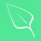 Ivy: Stats Tracker