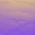 Purple: UV