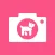 Bark Camera - For Dog
