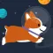 Space Corgi