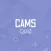 CAMS Quiz