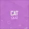 Certified Accounting Quiz