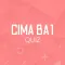 CIMA BA1 Quiz