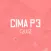CIMA P3 Quiz