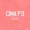 CIMA P3 Quiz