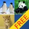Funny animal match and knowledge FREE