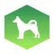 Dog Quiz - Which dog is that?
