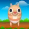 Milo the Cat