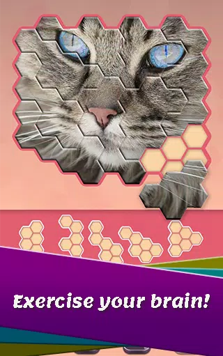 Animals Jigsaw! - Hexa puzzle應用截圖