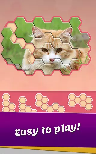 Animals Jigsaw! - Hexa puzzle應用截圖