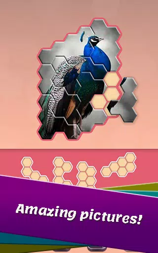 Animals Jigsaw! - Hexa puzzle應用截圖