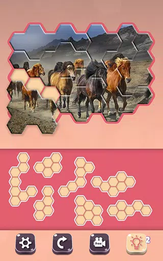 Animals Jigsaw! - Hexa puzzle應用截圖